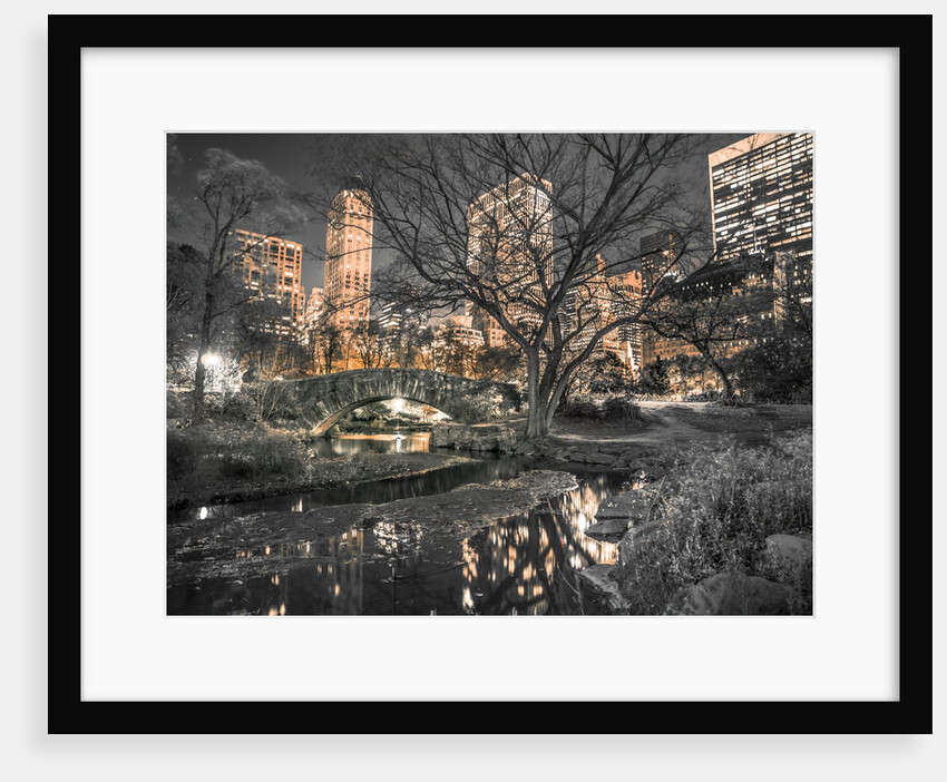 Central Park in New York City by Assaf Frank